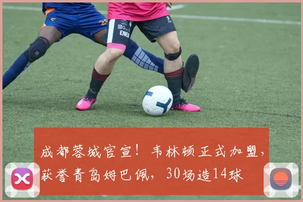 成都蓉城官宣！韦林顿正式加盟，获誉青岛姆巴佩，30场造14球