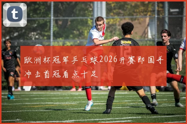 欧洲杯冠军乒乓球2026开赛即国手冲击首冠看点十足