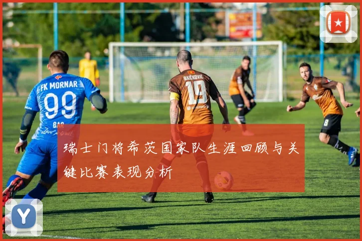 瑞士门将希茨国家队生涯回顾与关键比赛表现分析