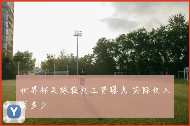 世界杯足球裁判工资曝光 实际收入有多少