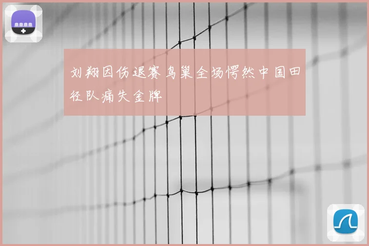 刘翔因伤退赛鸟巢全场愕然中国田径队痛失金牌