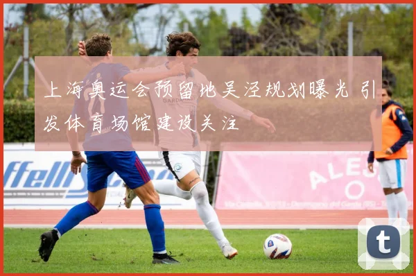 上海奥运会预留地吴泾规划曝光 引发体育场馆建设关注