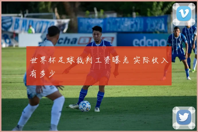 世界杯足球裁判工资曝光 实际收入有多少