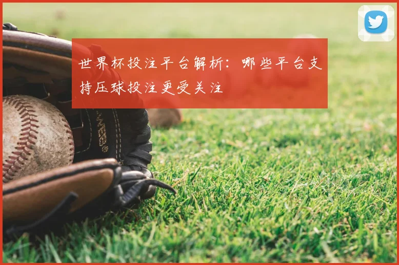 世界杯投注平台解析：哪些平台支持压球投注更受关注