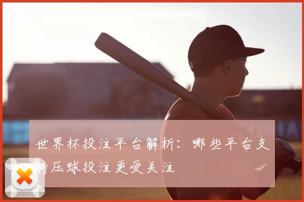 世界杯投注平台解析:哪些平台支持压球投注更受关注