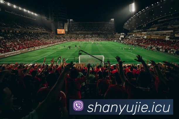 mksports官网登录平台生态图