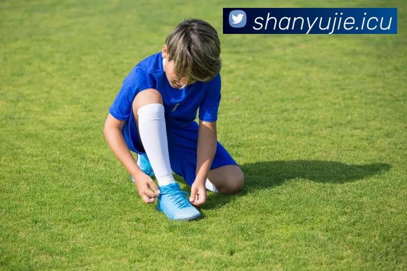 九州体育娱乐官网(中国)官方网站平台生态图